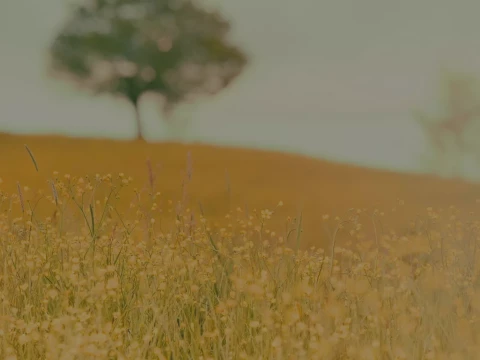 Konkurs Polska Wieś imienia prof. Jerzego Wilkina.