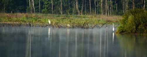 Konferencja „Ograniczenie zanieczyszczenia azotem pochodzenia rolniczego metoda poprawy jakości wód”