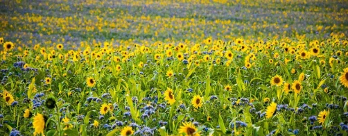 Wyniki XIV edycji Konkursu 