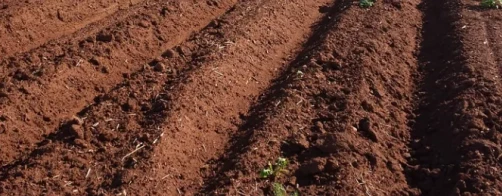 Racjonalna i zasobooszczędna gospodarka w rolnictwie i na obszarach wiejskich. Ziemia