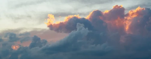 Zrealizowane szkolenia