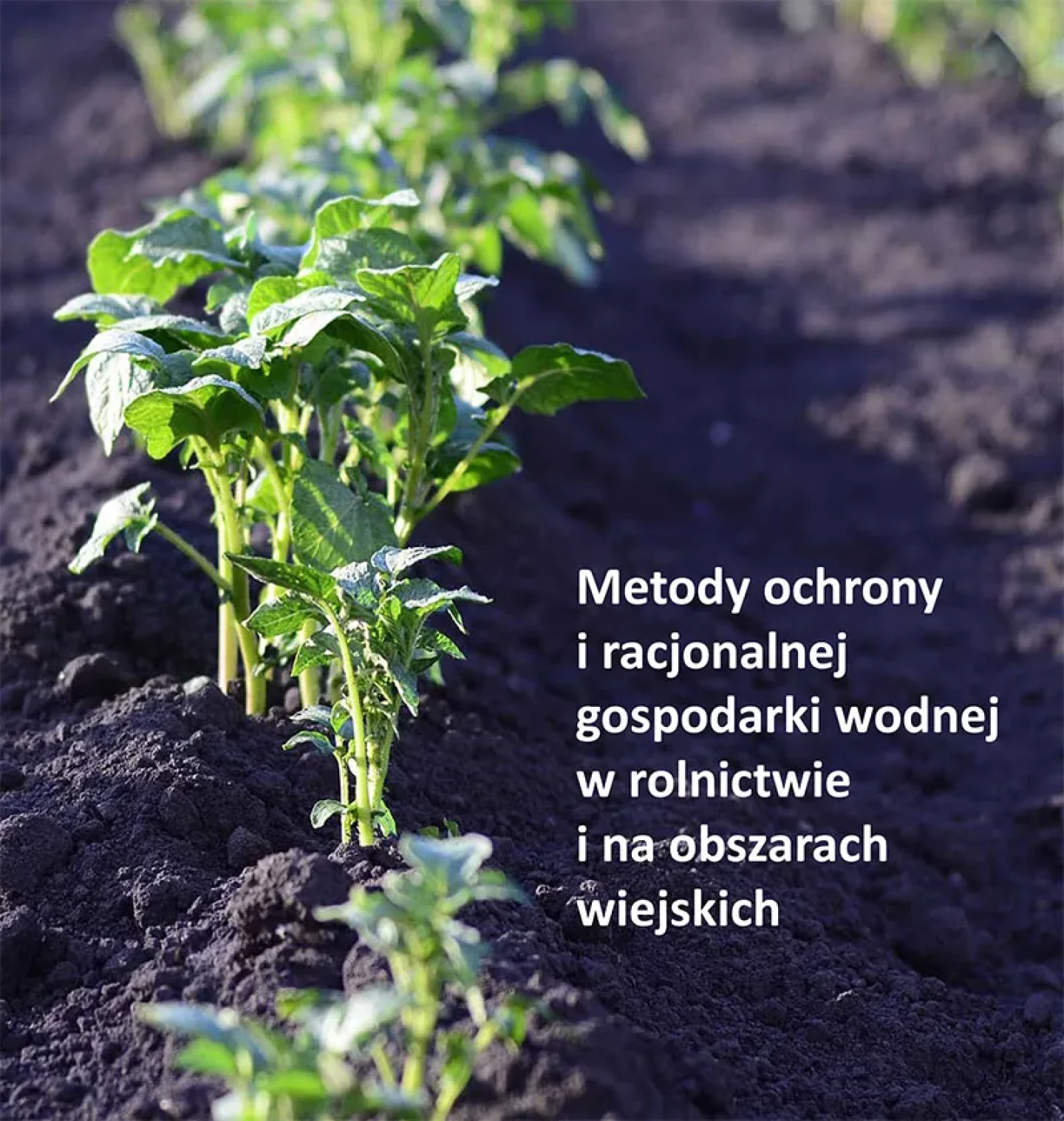 Metody ochrony i racjonalnej gospodarki wodnej w rolnictwie