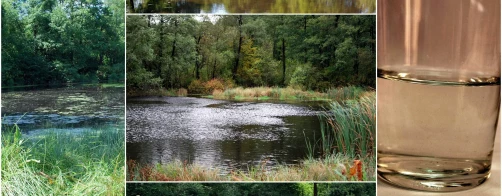 Zapraszamy do udziału w głosowaniu na najciekawszy projekt