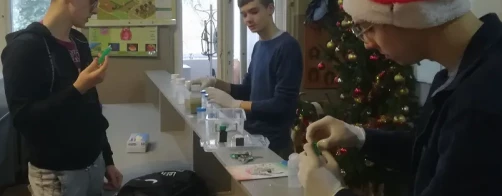 Działania w Zespole Szkół Centrum Kształcenia Rolniczego w Brzostowie