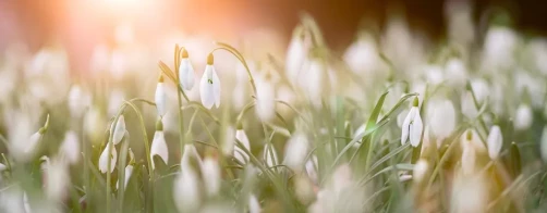 Nowości z Zespołu Szkół Agrotechnicznych i Gospodarki Żywnościowej w Radomiu