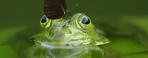 Nowy semestr w Zespole Szkół Centrum Kształcenia Rolniczego im. J. Dziubińskiej w Zduńskiej Dąbrowie