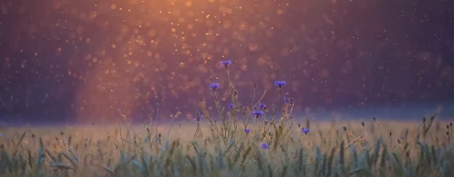 Odbyło się pierwsze z 11 szkoleń pn. Stosowanie środków ochrony roślin (ŚOR) – zasady i rozwiązania poprawiające bezpieczeństwo.