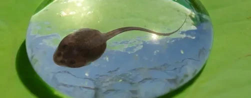 Nowy Harmonogram Konkursu