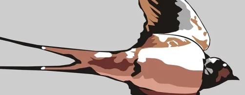 Wsparcie dla jaskółek i jerzyków