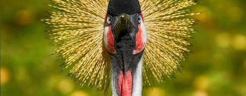 Czy w tym roku zagraża nam susza ?