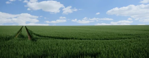 Tydzień Rolnictwa Ekologicznego w Zespole Szkół Centrum Kształcenia Rolniczego im. Władysława Grabskiego w Sędziejowicach