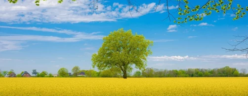 Zaproszenie na konferencję 