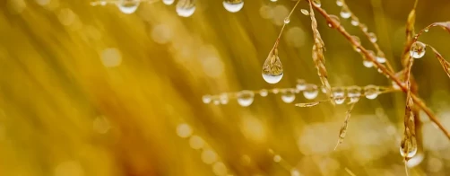 Podsumowanie cyklu 3 szkoleń on-line 