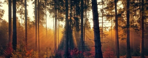 Co oznacza jesień dla bioróżnorodności ?