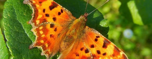 Zakończenie terminu składania prac konkursowych