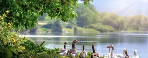 Film konkursowy z ZSCKR w Wojsławicach
