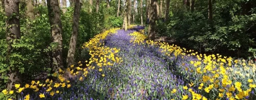 Wznowione działania projektowe w ZSCKR w Brzostowie