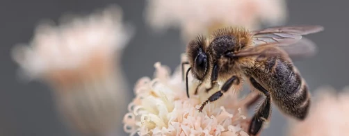 Film konkursowy z ZSCKU w Wojsławicach