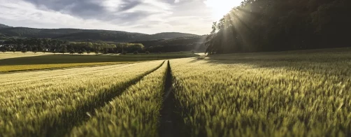 Film konkursowy z ZSCKR  w Sypniewie
