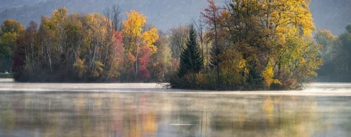 Szkolenia jednodniowe dla doradców