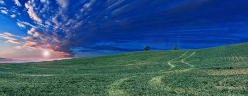 Stosowanie środków ochrony roślin a strategia „Od pola do stołu”