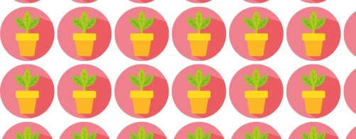 Zajęcia dla uczniów pn. Zachowanie bioróżnorodności i ochrona wód w krajobrazie rolniczym.