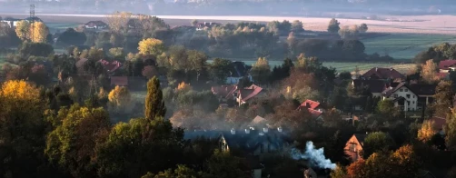 Znaczenie fitoremediacji dla jakości powietrza na terenach wiejskich