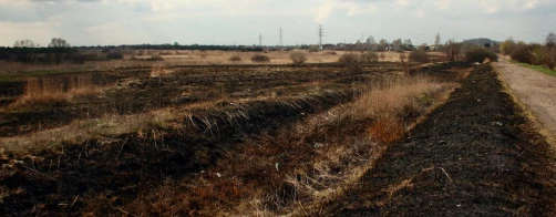 Zmiany w ustawie o ochronie przyrody