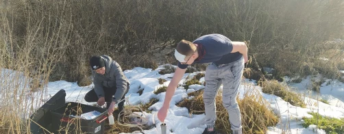 Wyniki II etapu konkursu