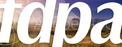 Raport roczny za rok 2020