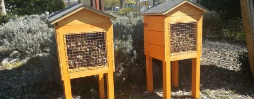 Rozstrzygnięcie konkursu LSMW