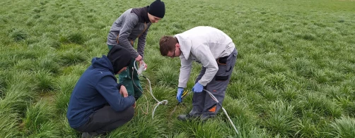 Rozstrzygnięcie konkursu LSMW