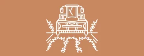 Report on the State of Rural Areas