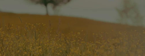 Zakończyliśmy nabór prac do XV edycji Konkursu 