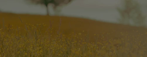 Rozstrzygnięcie XVI edycji konkursu ,,Polska wieś - dziedzictwo i przyszłość