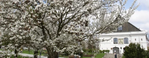 Uroczystość wręczenia nagród XV edycji konkursu  ,,Polska wieś - dziedzictwo i przyszłość”  im. prof. Jerzego Wilkina oraz konwersatorium „Rola kobiet w kulturze wsi”