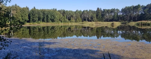 Warsztaty dla rolników