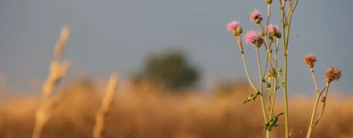 Konkurs dla szkół - już we wrześniu