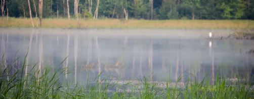 Wymagania instytucji kontrolnych