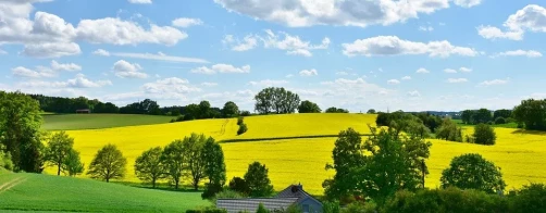 Sposoby rolniczego użytkowania a stan bioróżnorodności