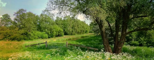 Cechy wyróżniające krajobraz rolniczy o wysokiej bioróżnorodności