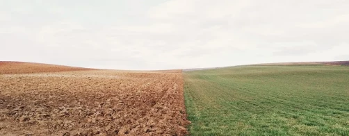 Cechy wyróżniające krajobraz rolniczy o niskiej bioróżnorodności