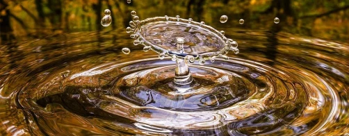 Ramowa Dyrektywa Wodna