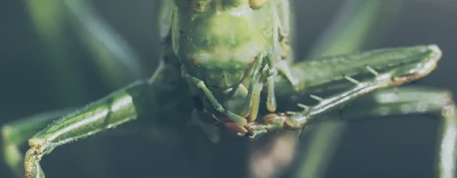 Uaktualniona baza wiedzy