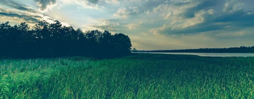 Naturalne strefy ekotonowe występujące w krajobrazie Polski