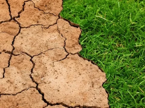 Podsumowanie projektu