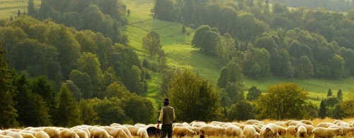 Rolnictwo a bioróżnorodność