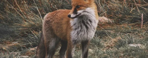 Świadomość ekologiczna Polaków