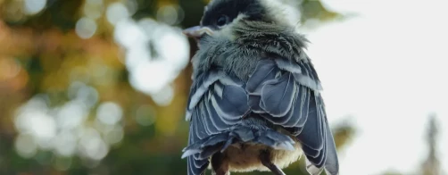 Bioróżnorodność na wakacjach