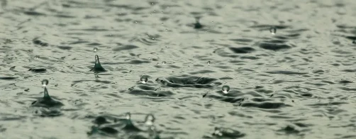 Konkurs „Lokalny System Monitoringu Wód”